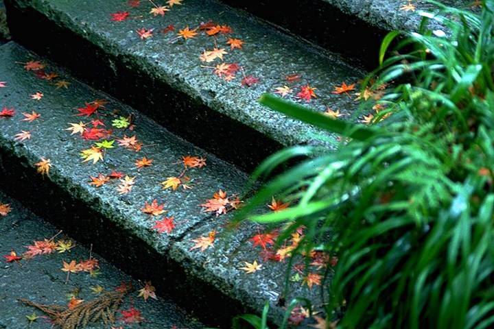 2274_28777_1841.jpg