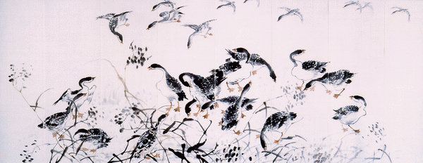 1638_21744_401.gif