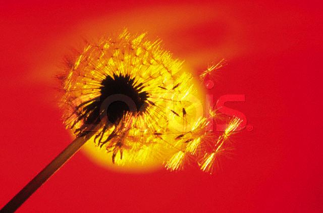 1813_23697_677.jpg