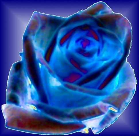 1829_23919_864.jpg