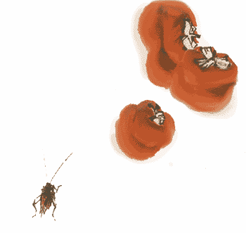 1830_23937_882.gif
