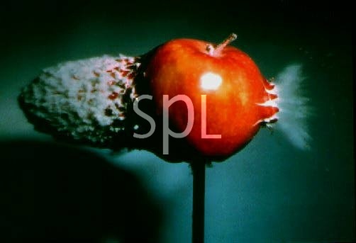 1929_24865_1202.jpg
