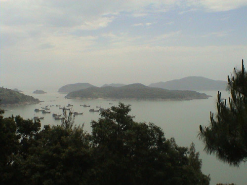 2661_32525_2463.jpg