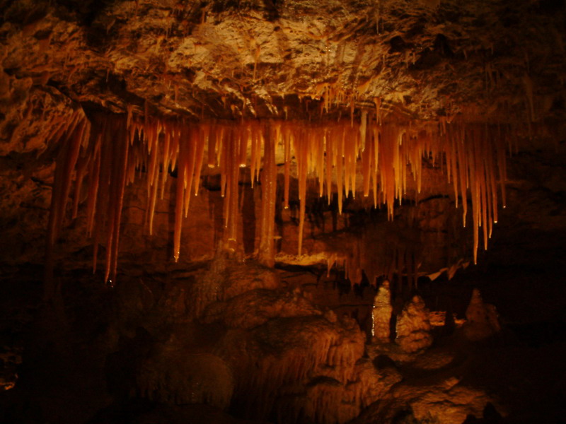 3241_37777_3836.jpg