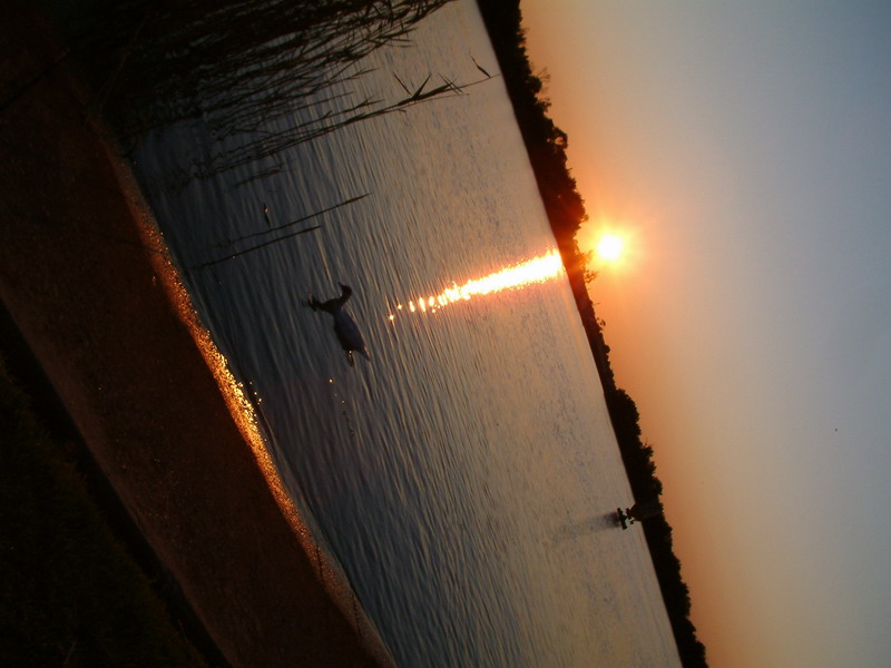 3241_37778_3837.jpg