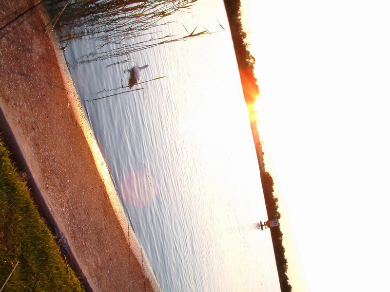 3241_37778_3838.jpg
