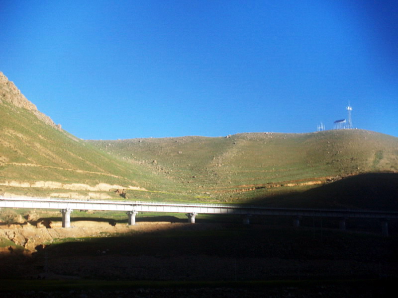 P8020559.jpg